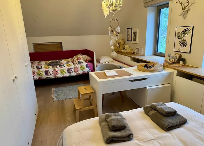 Nyte Estate, 20 Min, 1ha, Ac, Ev, Fireplace 根特