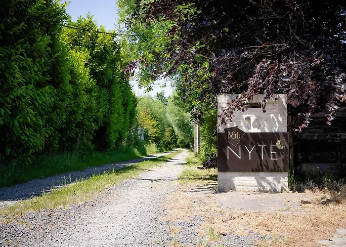 Nyte Estate, 20 Min, 1ha, Ac, Ev, Fireplace 别墅 *